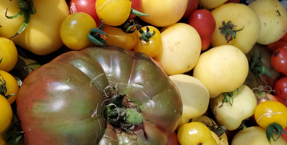 Heirloom Tomatoes