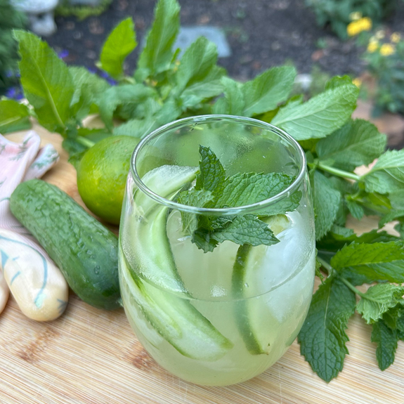Refreshing Cucumber Mint Cocktail