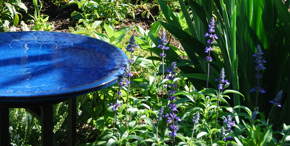 Cool blue birdbath